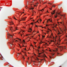 New havrvest atacado chinês goji berry